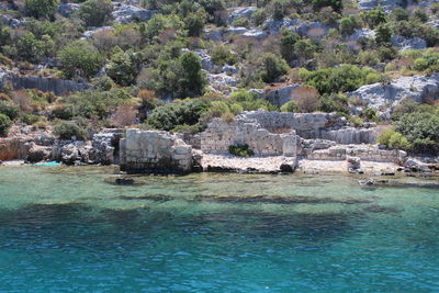 Scenic view of sea against trees