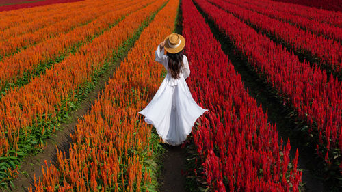 Woman standing in a field