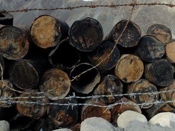 Stack of logs