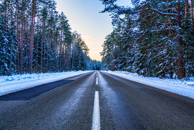 Winter road thru the frozen forest.