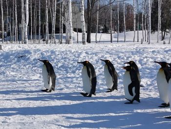 Group of people on snow covered land