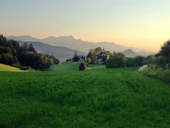 Scenic view of grassy landscape against sky