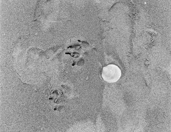 High angle view of footprints on sand