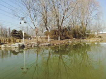 Reflection of trees in lake against sky