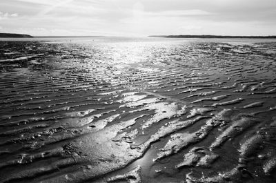 Scenic view of beach