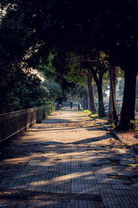 Trees on landscape