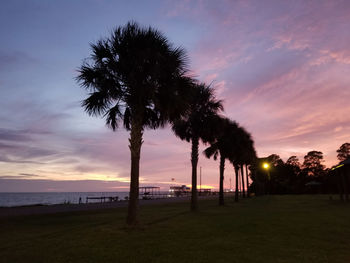 Silhouette palm trees on field against sky at sunset