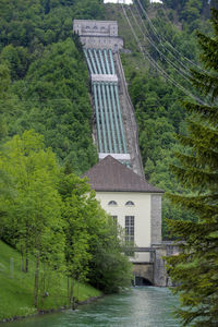 Building by river amidst trees in forest