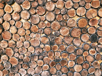 Full frame shot of logs in forest