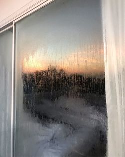 Reflection of trees on glass window during winter