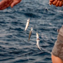 A fisherman holding a fish