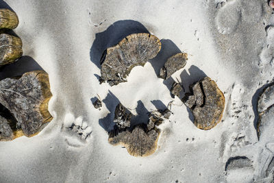 High angle view of footprints on sand at beach