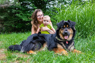 Two dogs sitting on grass