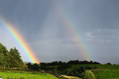 Scenic view of rainbow over field against sky