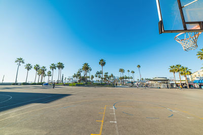 Palm trees by road against blue sky