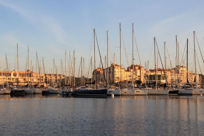 Sailboats moored in harbor