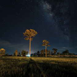 Low angle view of tree against sky