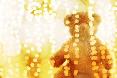 Close-up of christmas decoration