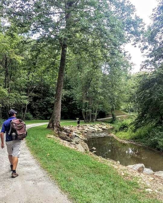 tree, lifestyles, leisure activity, full length, men, casual clothing, walking, person, rear view, growth, nature, green color, day, travel, outdoors, footpath, beauty in nature