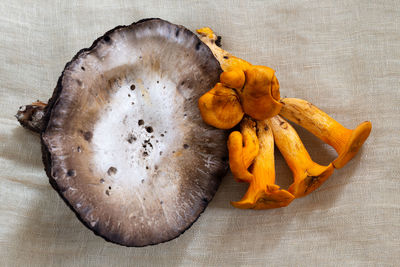 Close-up of food on table