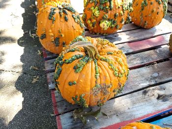 High angle view of pumpkins during autumn