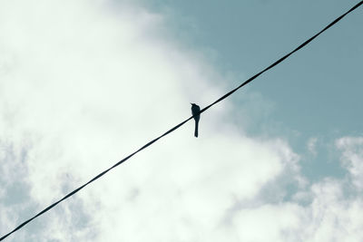 Low angle view of silhouette birds on cable against sky