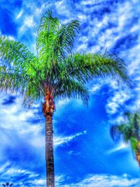 Low angle view of palm trees against cloudy sky