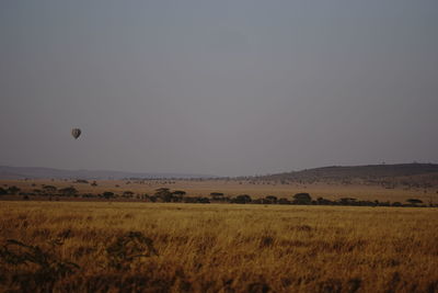 Scenic view of field against clear sky
