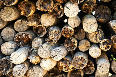 Full frame shot of firewood, wood trunks