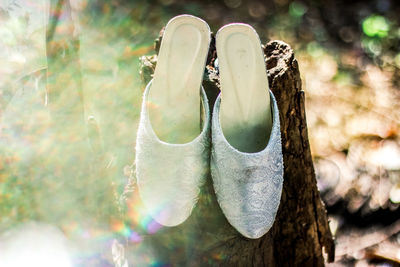 Close-up of shoes on tree trunk