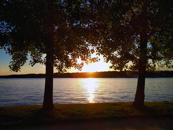 Silhouette trees by lake against sky during sunset