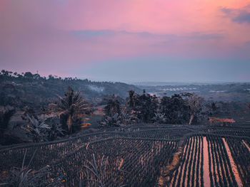 Scenic view of field against sky at sunset