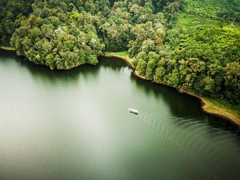 Scenic view of river amidst trees