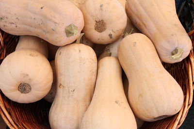 High angle view of pumpkins for sale at market stall