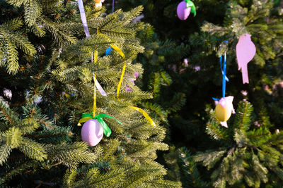 Close-up of christmas decorations hanging on tree