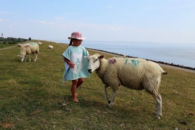 Girl and sheep on field against sky