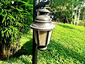 View of electric lamp in garden