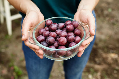 Cropped hand holding strawberries