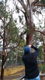 Rear view of man on tree