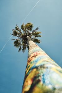 Low angle view of palm tree against clear sky