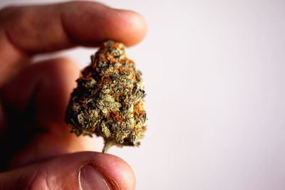 Cropped image of hands holding marijuana against sky