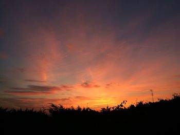 Silhouette trees against sky during sunset