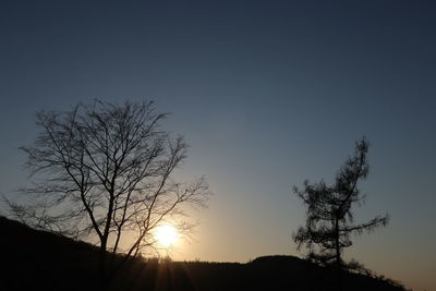 Low angle view of silhouette bare tree against sky at sunset