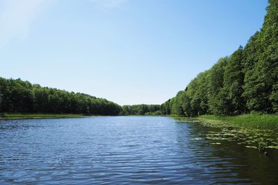 Scenic view of lake in forest against clear sky