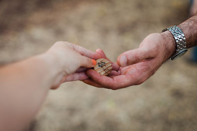 Close-up of hand holding leaf