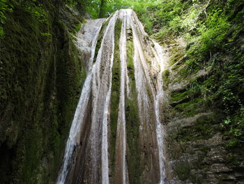 Scenic view of waterfall in forest