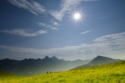 Scenic view of field against sky