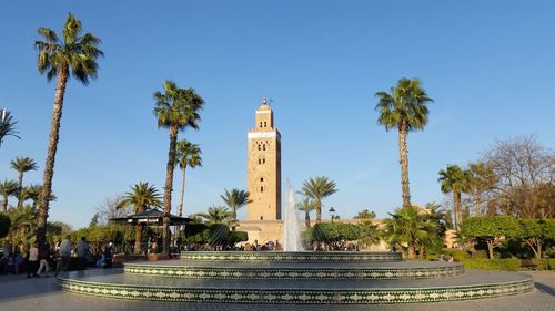 Palm trees and buildings against sky