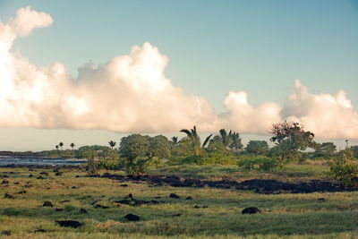 Scenic view of landscape against sky