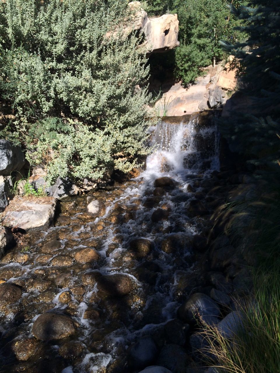 VIEW OF STREAM FLOWING THROUGH ROCKS